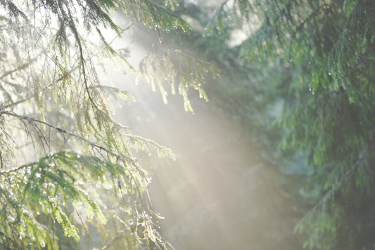 Walking in Light: Kristin’s Journey of Joy, Purpose, and Sacred Symbols